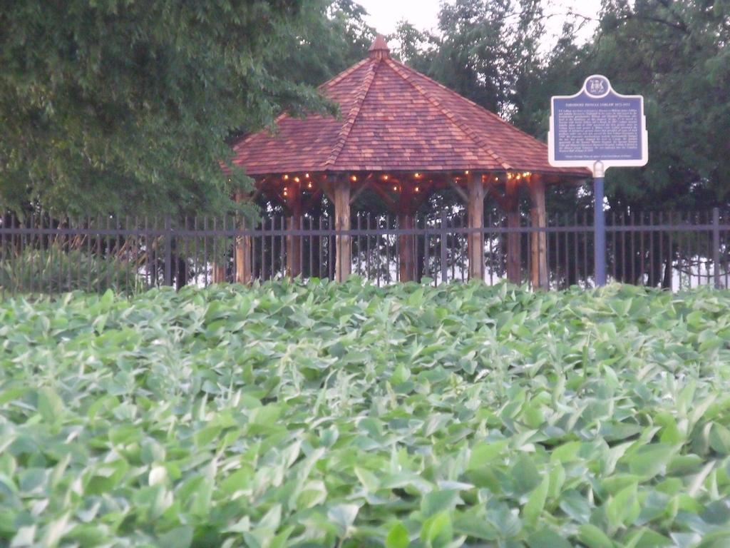Stevenson Farms-harvest Couette-café 3*